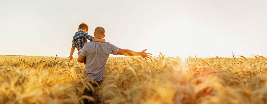 Un homme portant son fils sur son épaule dans un champ de blé
