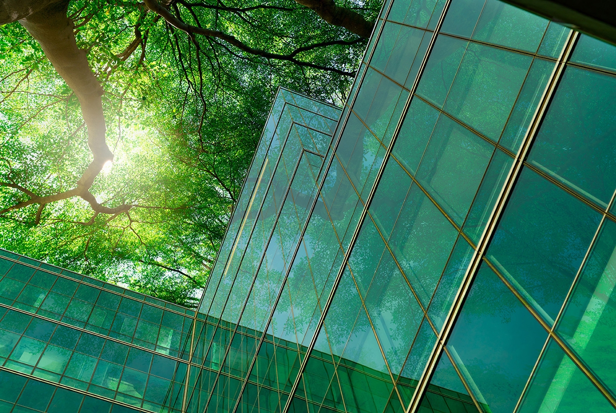 Arbres vu d'en bas d'un immeuble vert